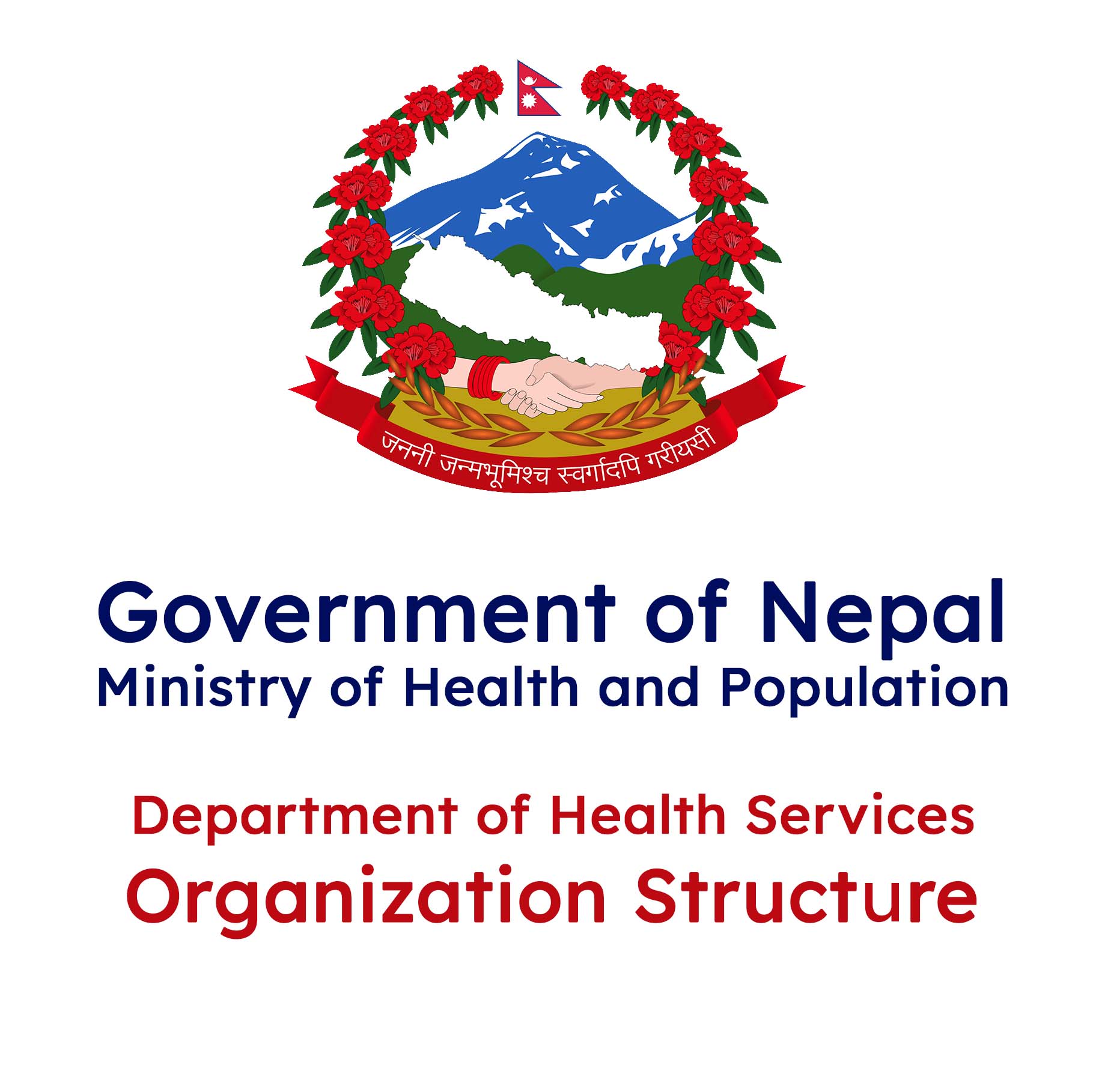 Organization Structure – Department of Health Services